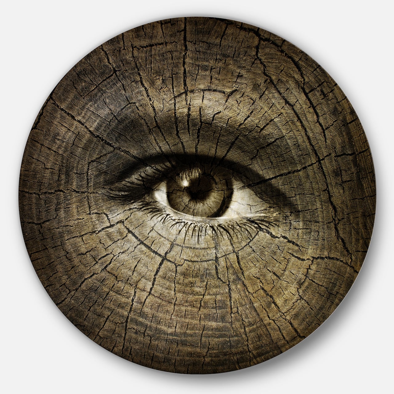 Designart - Aging Eyes' Disc Abstract Circle Metal Wall Art